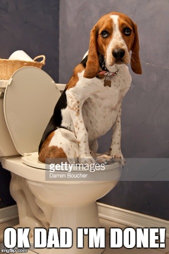 Housetraining your Beagle | OK DAD I'M DONE! | image tagged in beagle,potty | made w/ Imgflip meme maker