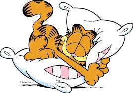 Garfield Blank Meme Template