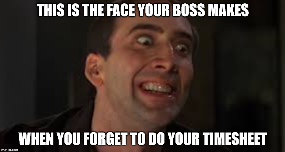 Do Your Dam Timesheet! | THIS IS THE FACE YOUR BOSS MAKES; WHEN YOU FORGET TO DO YOUR TIMESHEET | image tagged in timesheet reminder,i really don't want to get paid,this is why broke | made w/ Imgflip meme maker