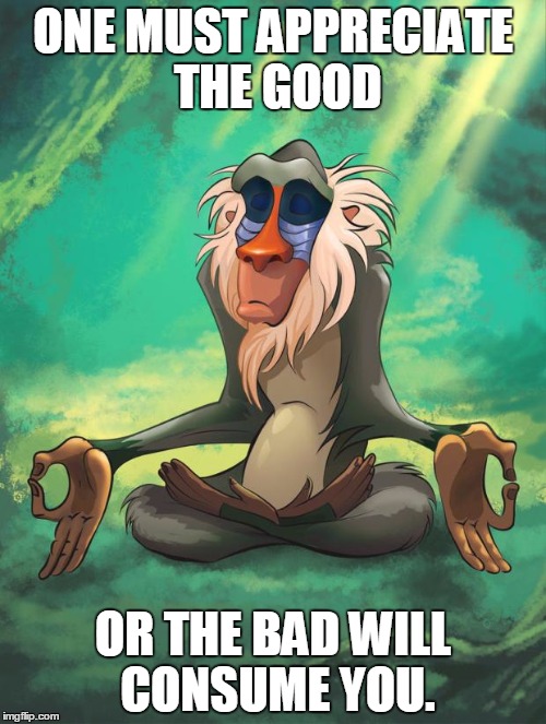 Rafiki wisdom | ONE MUST APPRECIATE THE GOOD; OR THE BAD WILL CONSUME YOU. | image tagged in rafiki wisdom | made w/ Imgflip meme maker