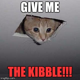 Ceiling Cat | GIVE ME; THE KIBBLE!!! | image tagged in memes,ceiling cat | made w/ Imgflip meme maker