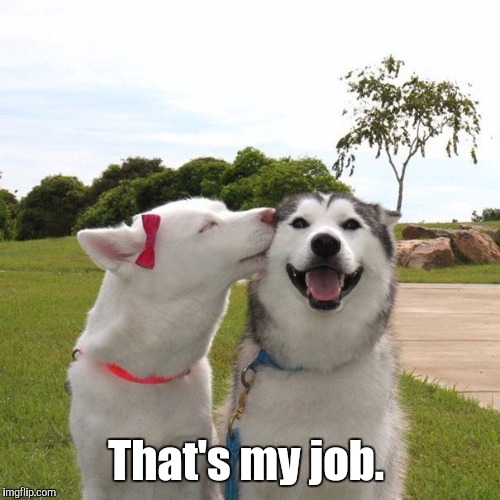 Dogs Kissing | That's my job. | image tagged in dogs kissing | made w/ Imgflip meme maker