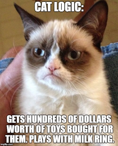 Also known as baby logic.  | CAT LOGIC:; GETS HUNDREDS OF DOLLARS WORTH OF TOYS BOUGHT FOR THEM. PLAYS WITH MILK RING. | image tagged in memes,grumpy cat | made w/ Imgflip meme maker