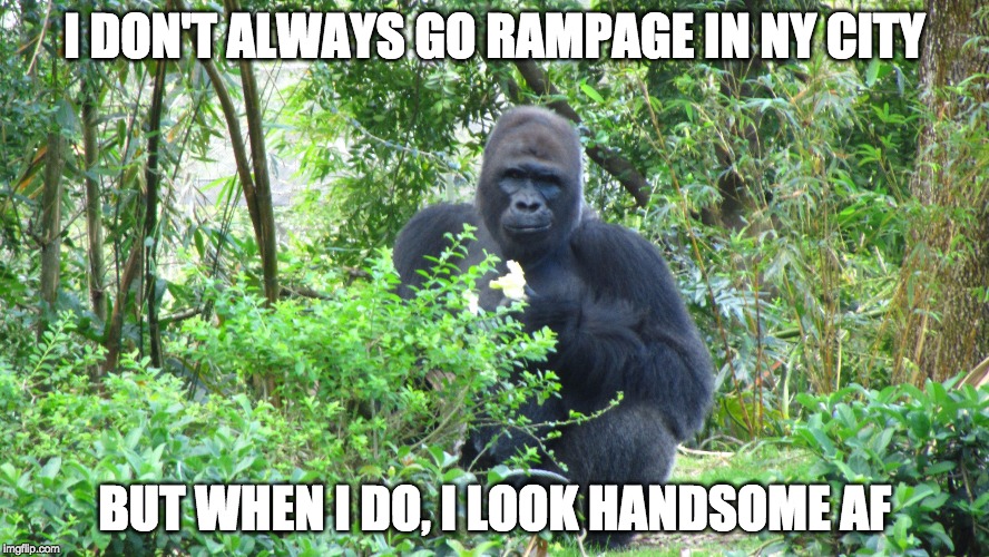 Troll Gorilla  | I DON'T ALWAYS GO RAMPAGE IN NY CITY; BUT WHEN I DO, I LOOK HANDSOME AF | image tagged in troll gorilla | made w/ Imgflip meme maker