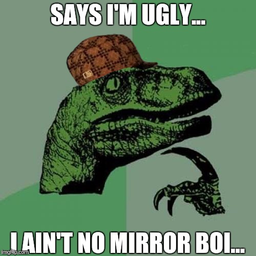 Philosoraptor | SAYS I'M UGLY... I AIN'T NO MIRROR BOI... | image tagged in memes,philosoraptor,scumbag | made w/ Imgflip meme maker