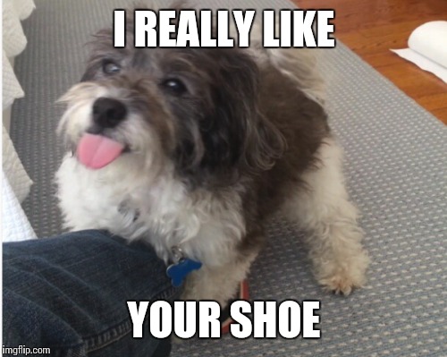 I REALLY LIKE YOUR SHOE | made w/ Imgflip meme maker