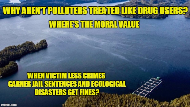 It's Only Poison | WHY AREN'T POLLUTERS TREATED LIKE DRUG USERS? WHERE'S THE MORAL VALUE; WHEN VICTIM LESS CRIMES GARNER JAIL SENTENCES AND ECOLOGICAL DISASTERS GET FINES? | image tagged in bc diesel spill,corruption,poisoned water,smoked salmon,deadly,politics | made w/ Imgflip meme maker