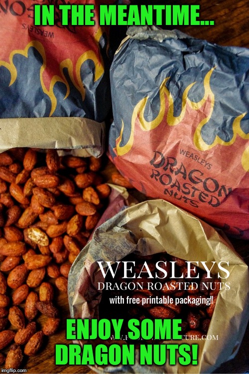 IN THE MEANTIME... ENJOY SOME DRAGON NUTS! | made w/ Imgflip meme maker