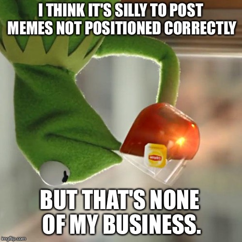 But That's None Of My Business | I THINK IT'S SILLY TO POST MEMES NOT POSITIONED CORRECTLY; BUT THAT'S NONE OF MY BUSINESS. | image tagged in memes,but thats none of my business,kermit the frog | made w/ Imgflip meme maker