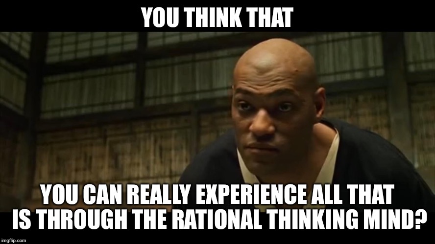 Morpheus Cocky Look | YOU THINK THAT; YOU CAN REALLY EXPERIENCE ALL THAT IS THROUGH THE RATIONAL THINKING MIND? | image tagged in morpheus cocky look | made w/ Imgflip meme maker