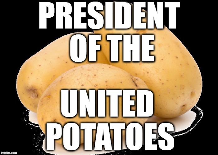 PRESIDENT OF THE; UNITED POTATOES | image tagged in potup | made w/ Imgflip meme maker