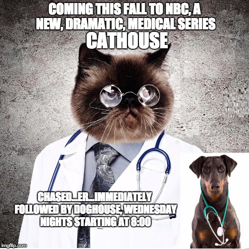 Cathouse and Doghouse medical dramas Imgflip