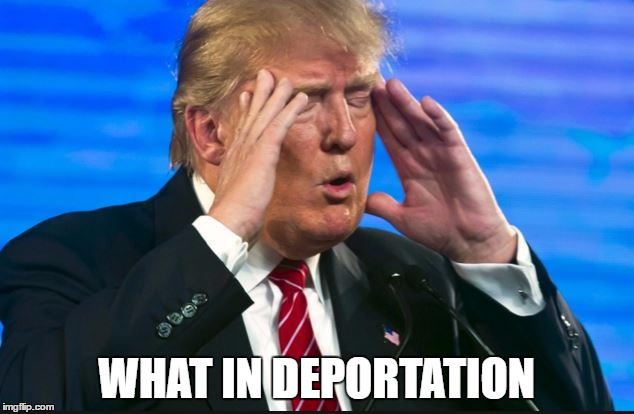 What in... | WHAT IN DEPORTATION | image tagged in memes,donald trump,what in tarnation | made w/ Imgflip meme maker