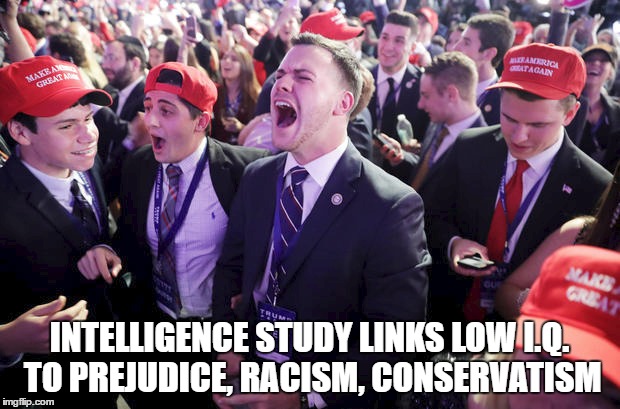 Are bigots and Trump supporters dumb? | INTELLIGENCE STUDY LINKS LOW I.Q. TO PREJUDICE, RACISM, CONSERVATISM | image tagged in trump supporters,donald trump,racism,stupidity | made w/ Imgflip meme maker