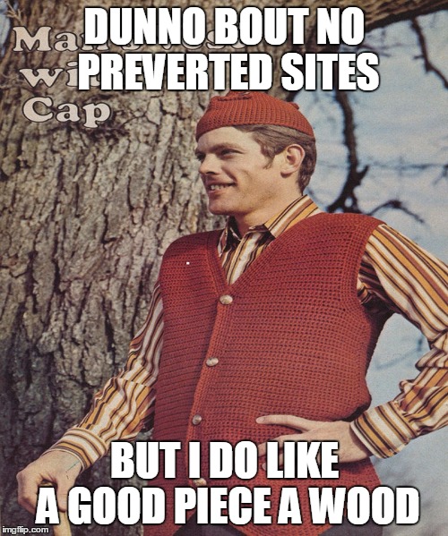 DUNNO BOUT NO PREVERTED SITES BUT I DO LIKE A GOOD PIECE A WOOD | made w/ Imgflip meme maker