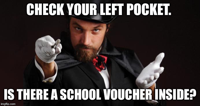 Mind reading magician | CHECK YOUR LEFT POCKET. IS THERE A SCHOOL VOUCHER INSIDE? | image tagged in mind reading magician | made w/ Imgflip meme maker