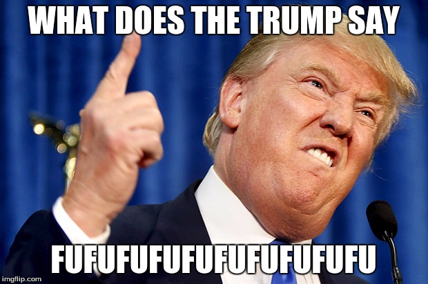 Donald Trump | WHAT DOES THE TRUMP SAY; FUFUFUFUFUFUFUFUFUFU | image tagged in donald trump | made w/ Imgflip meme maker