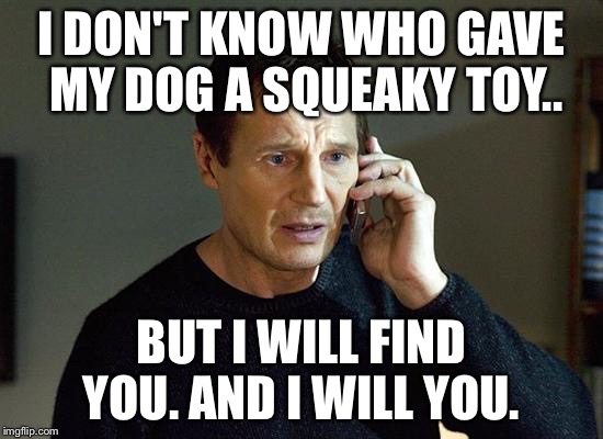 Liam Neeson Taken 2 | I DON'T KNOW WHO GAVE MY DOG A SQUEAKY TOY.. BUT I WILL FIND YOU. AND I WILL YOU. | image tagged in memes,liam neeson taken 2 | made w/ Imgflip meme maker