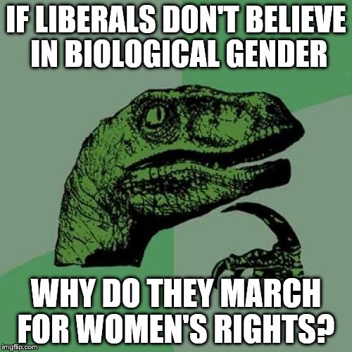 Philosoraptor Meme | IF LIBERALS DON'T BELIEVE IN BIOLOGICAL GENDER; WHY DO THEY MARCH FOR WOMEN'S RIGHTS? | image tagged in memes,philosoraptor | made w/ Imgflip meme maker