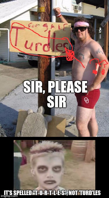 SIR, PLEASE SIR; IT'S SPELLED "T-U-R-T-L-E-S", NOT 'TURD'LES | image tagged in turd,turt | made w/ Imgflip meme maker