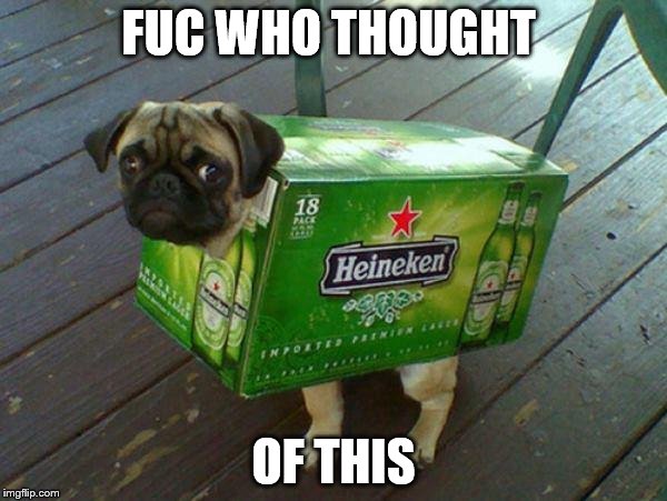 beer pug | FUC WHO THOUGHT; OF THIS | image tagged in beer pug | made w/ Imgflip meme maker