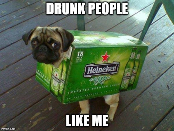 beer pug | DRUNK PEOPLE; LIKE ME | image tagged in beer pug | made w/ Imgflip meme maker