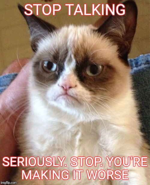 Grumpy Cat | STOP TALKING; SERIOUSLY. STOP. YOU'RE MAKING IT WORSE | image tagged in memes,grumpy cat | made w/ Imgflip meme maker