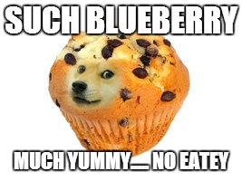 doge muffin | SUCH BLUEBERRY; MUCH YUMMY.....
NO EATEY | image tagged in doge muffin | made w/ Imgflip meme maker