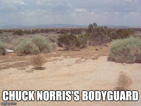 CHUCK NORRIS'S BODYGUARD | made w/ Imgflip meme maker