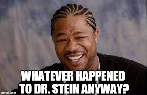 Yo Dawg Heard You Meme | WHATEVER HAPPENED TO DR. STEIN ANYWAY? | image tagged in memes,yo dawg heard you | made w/ Imgflip meme maker