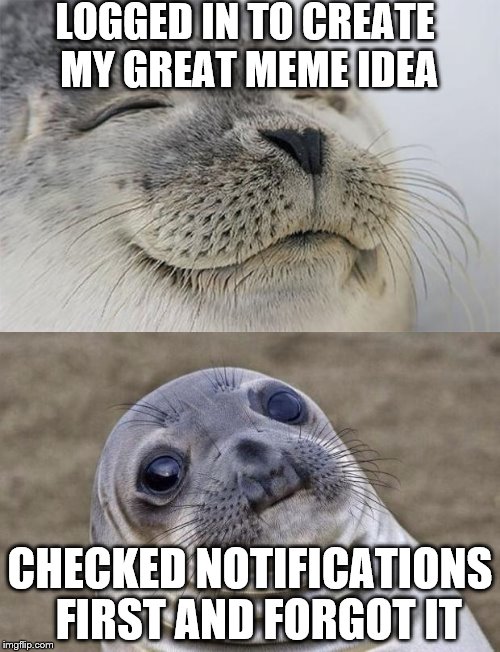 It could happen to you, it happened to me.  | LOGGED IN TO CREATE MY GREAT MEME IDEA; CHECKED NOTIFICATIONS  FIRST AND FORGOT IT | image tagged in memes,satisfied seal,awkward sealion | made w/ Imgflip meme maker