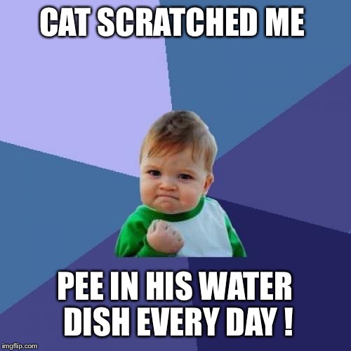 Success Kid Meme | CAT SCRATCHED ME; PEE IN HIS WATER DISH EVERY DAY ! | image tagged in memes,success kid | made w/ Imgflip meme maker