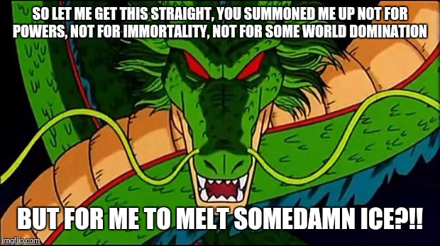 DBZ Shenron | SO LET ME GET THIS STRAIGHT, YOU SUMMONED ME UP NOT FOR POWERS, NOT FOR IMMORTALITY, NOT FOR SOME WORLD DOMINATION; BUT FOR ME TO MELT SOMEDAMN ICE?!! | image tagged in dbz shenron | made w/ Imgflip meme maker