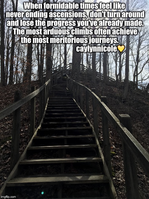 Figure out why you made it this far.  | When formidable times feel like never ending ascensions,  don't turn around and lose the progress you've already made. The most arduous climbs often achieve the most meritorious journeys.                                              caylynnicole💛 | image tagged in motivation,journey | made w/ Imgflip meme maker
