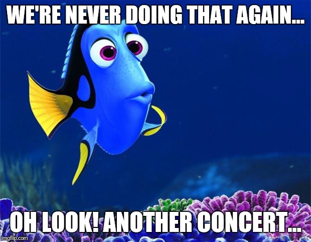 Dory | WE'RE NEVER DOING THAT AGAIN... OH LOOK! ANOTHER CONCERT... | image tagged in dory | made w/ Imgflip meme maker