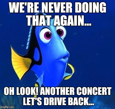 dory forgets | WE'RE NEVER DOING THAT AGAIN... OH LOOK! ANOTHER CONCERT LET'S DRIVE BACK... | image tagged in dory forgets | made w/ Imgflip meme maker