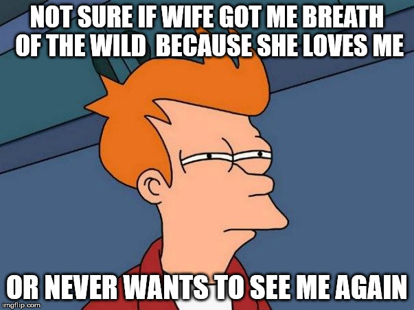 NOT SURE IF WIFE GOT ME BREATH OF THE WILD  BECAUSE SHE LOVES ME; OR NEVER WANTS TO SEE ME AGAIN | image tagged in nintendo switch,the legend of zelda breath of the wild | made w/ Imgflip meme maker