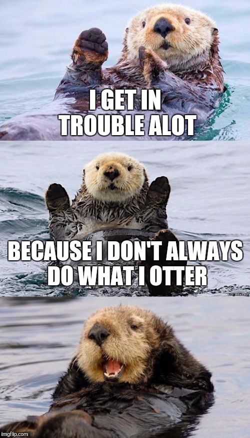 Bad pun otter | I GET IN TROUBLE ALOT; BECAUSE I DON'T ALWAYS DO WHAT I OTTER | image tagged in bad pun otter | made w/ Imgflip meme maker