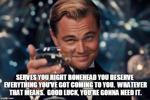 Leonardo Dicaprio Cheers | SERVES YOU RIGHT BONEHEAD
YOU DESERVE EVERYTHING YOU'VE GOT COMING TO YOU.

WHATEVER THAT MEANS.  GOOD LUCK, YOU'RE GONNA NEED IT. | image tagged in memes,leonardo dicaprio cheers | made w/ Imgflip meme maker
