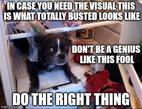 Genius Award Goes To | IN CASE YOU NEED THE VISUAL THIS IS WHAT TOTALLY BUSTED LOOKS LIKE; DON'T BE A GENIUS LIKE THIS FOOL; DO THE RIGHT THING | image tagged in busted,scumbag,totally busted,what busted looks like,the moment you realize your an idiot | made w/ Imgflip meme maker