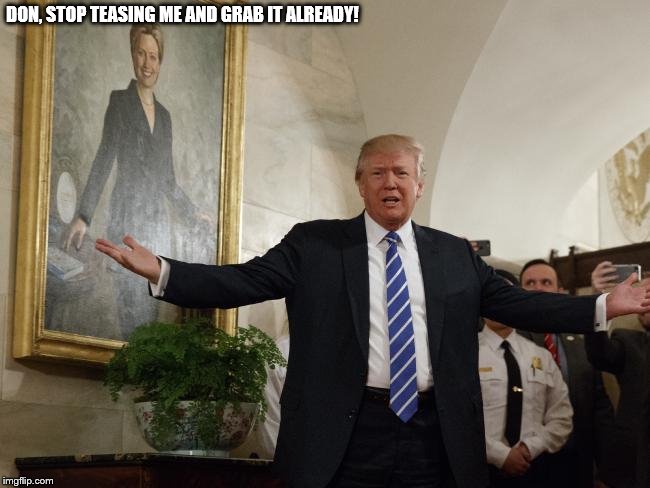 Happy Hillary | DON, STOP TEASING ME AND GRAB IT ALREADY! | image tagged in trump,grab | made w/ Imgflip meme maker
