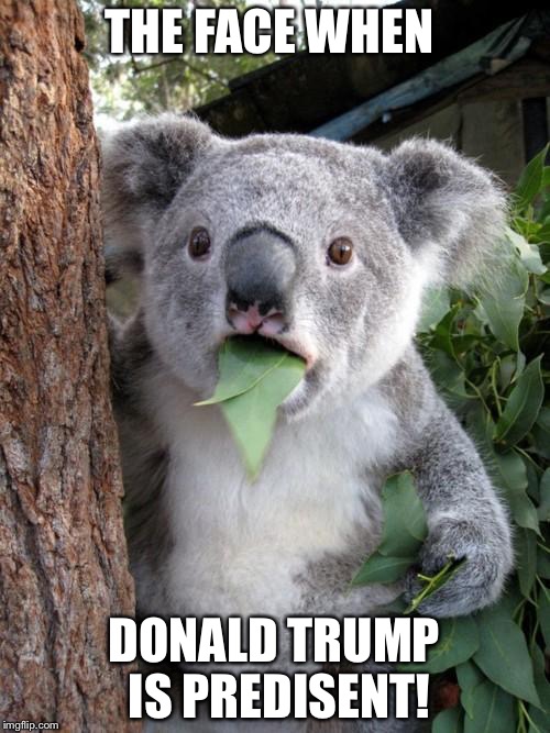 Surprised Koala Meme | THE FACE WHEN; DONALD TRUMP IS PREDISENT! | image tagged in memes,surprised koala | made w/ Imgflip meme maker