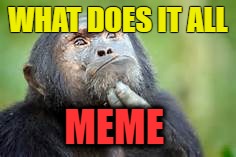 thinker chimp | WHAT DOES IT ALL; MEME | image tagged in thinker chimp | made w/ Imgflip meme maker