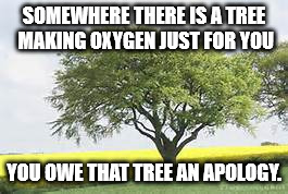 SOMEWHERE THERE IS A TREE MAKING OXYGEN JUST FOR YOU; YOU OWE THAT TREE AN APOLOGY. | image tagged in insults | made w/ Imgflip meme maker