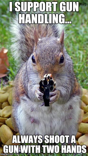 funny squirrels with guns (5) | I SUPPORT GUN HANDLING... ALWAYS SHOOT A GUN WITH TWO HANDS | image tagged in funny squirrels with guns 5 | made w/ Imgflip meme maker