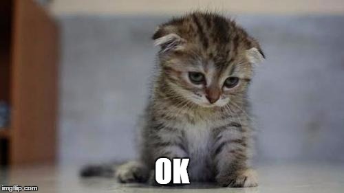 Sad kitten | OK | image tagged in sad kitten | made w/ Imgflip meme maker