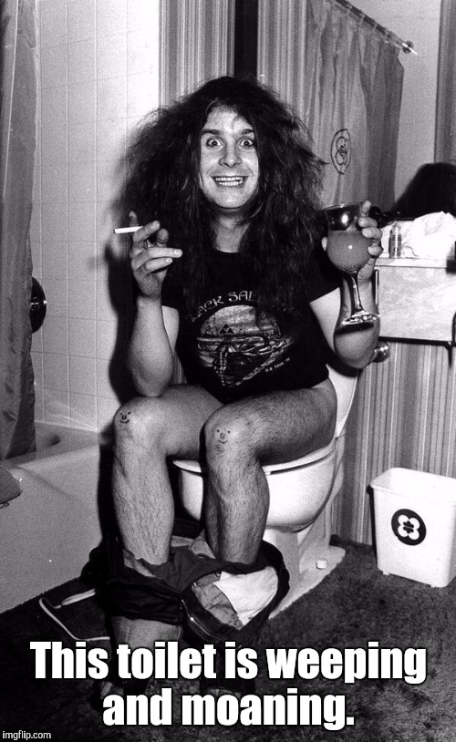 Ozzy | This toilet is weeping and moaning. | image tagged in ozzy | made w/ Imgflip meme maker
