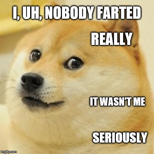 Doge Meme | I, UH, NOBODY FARTED REALLY IT WASN'T ME SERIOUSLY | image tagged in memes,doge | made w/ Imgflip meme maker
