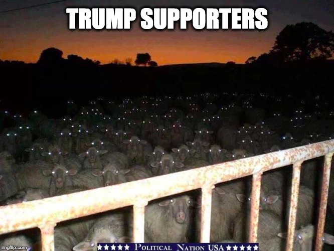 TRUMP SUPPORTERS | image tagged in nevertrump,never trump,nevertrump meme,dump the trump,trumpty dumpty,dump trump | made w/ Imgflip meme maker