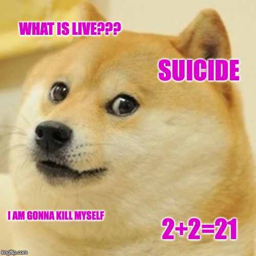 Doge | WHAT IS LIVE??? SUICIDE; I AM GONNA KILL MYSELF; 2+2=21 | image tagged in memes,doge | made w/ Imgflip meme maker